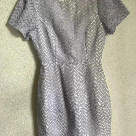 Elliatt Evoke Tulip Chevron Herringbone Lace Lilac Structured Mini Dress S - Picture 4 of 14